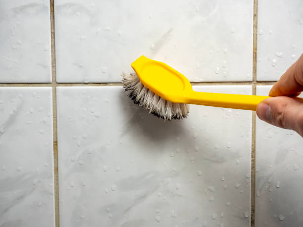 Best Best Mold Removal Companies  in Haysville, KS