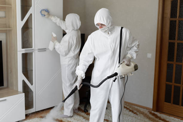 Best Certified Mold Removal  in Haysville, KS