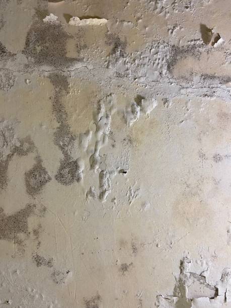 Water Damage Restoration in Haysville, KS