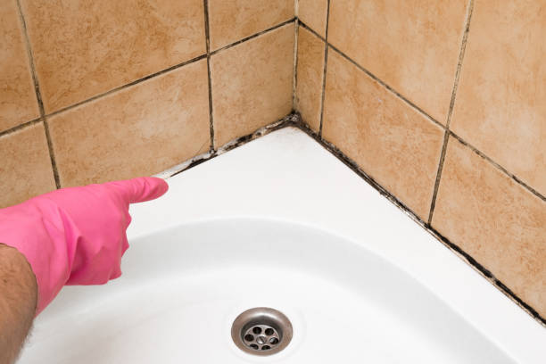 Best Mold Testing  in Haysville, KS